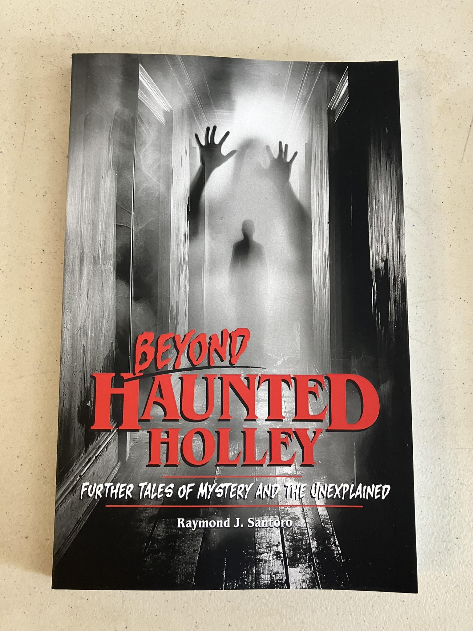 beyond haunted holley cover